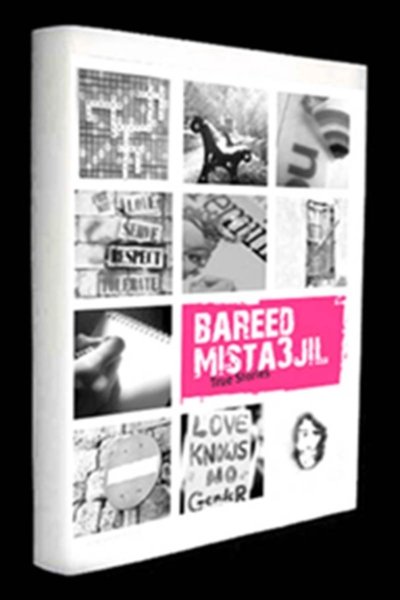 41 True/Personal Stories from Lesbians, Bisexuals, Queer and Questioning women, and transgender Persons from Lebanon
