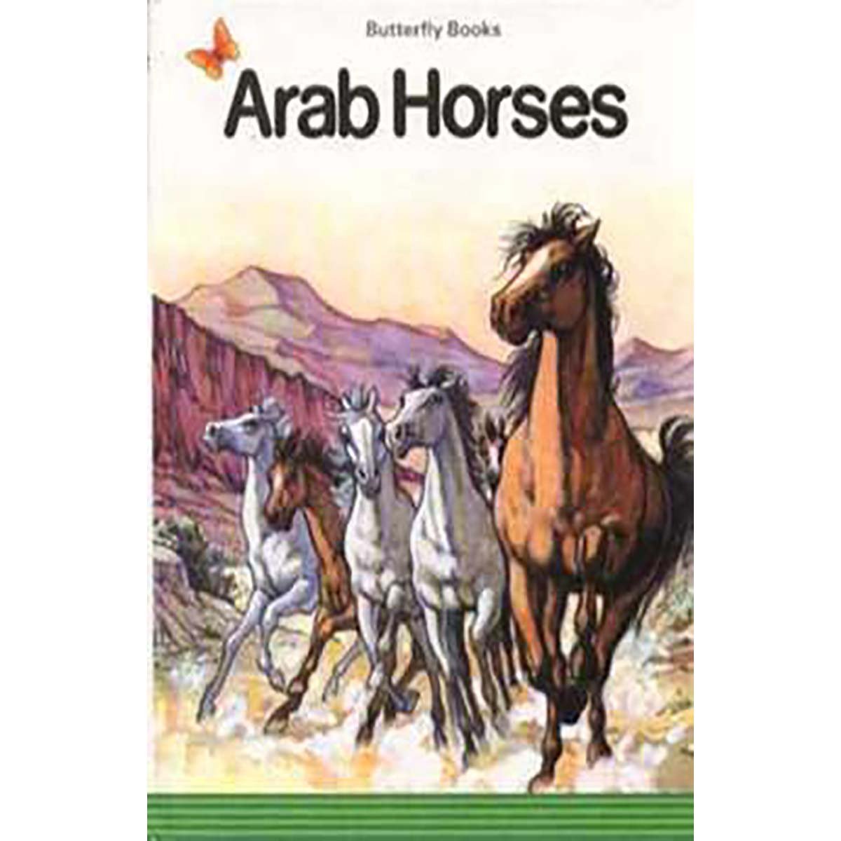 Arab Horses