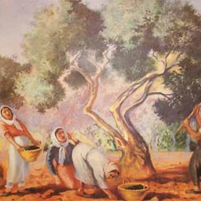 قطاف الزيتون - ١٩٥٣