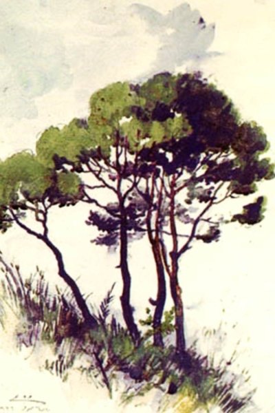 صنوبرة الوحدة - ١٩٣٦