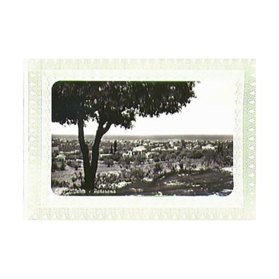 1960's Card B&W Picture Lebanon Saida