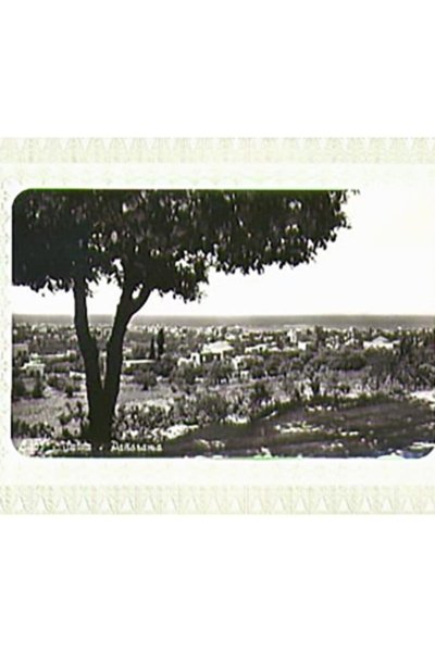 1960's Card B&W Picture Lebanon Saida