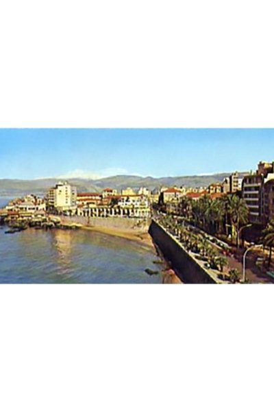 1970's Postcard Beirut - Ave des Français