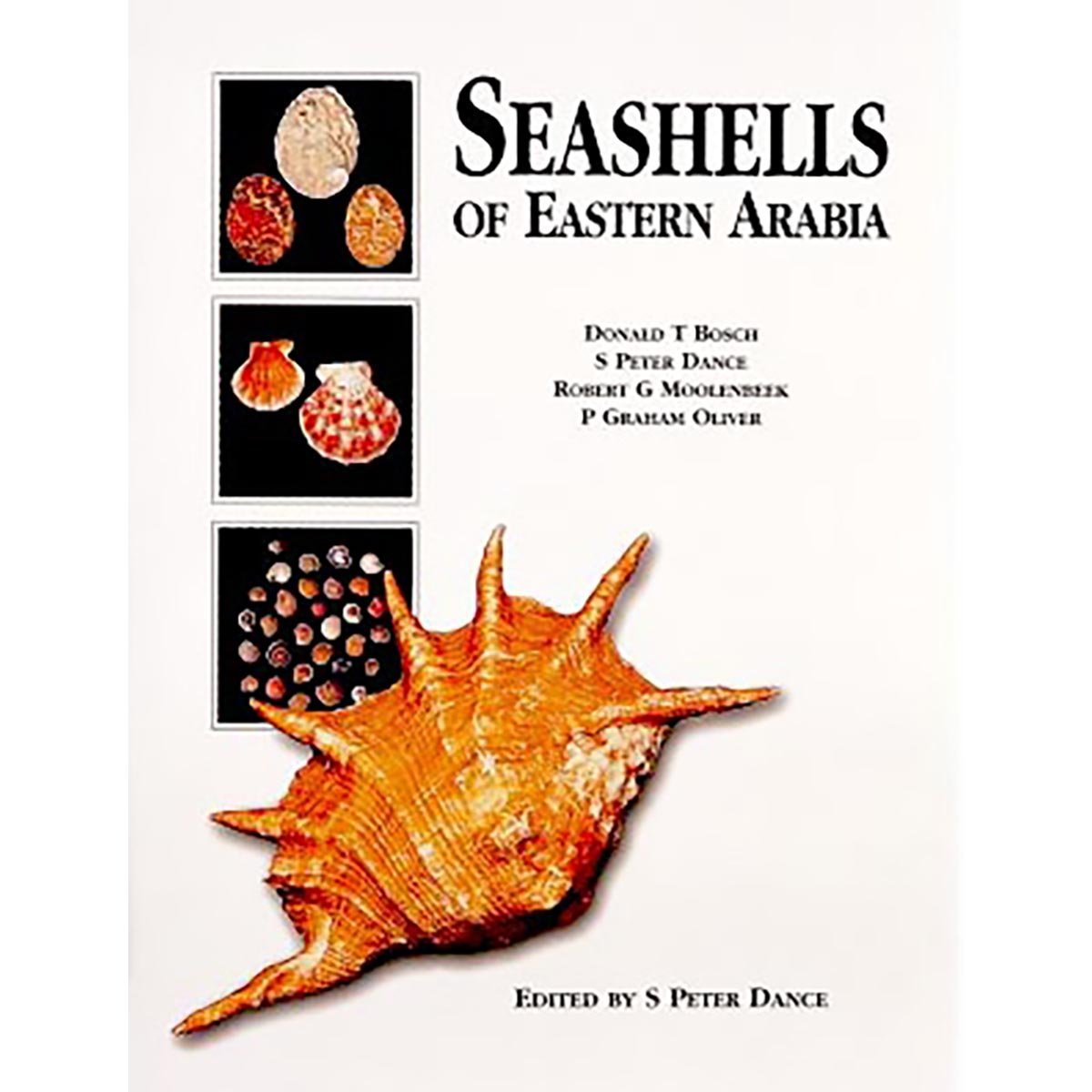 Seashells of Eastern Arabia